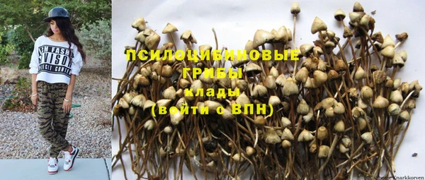 винт Бородино