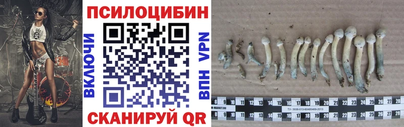 Галлюциногенные грибы мицелий  Купить где  Черкесск 