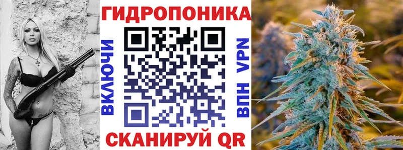 Шишки марихуана VHQ  Купить  Черкесск 
